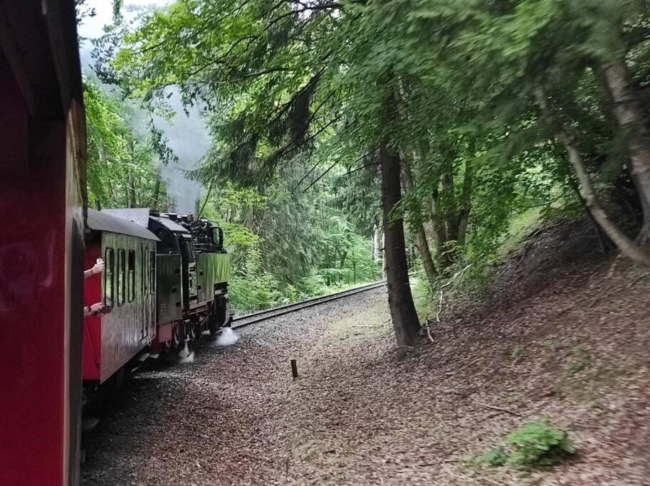 Ferienhaus Hoher Weg - Urlaub, Wandern, Downhill Und Workation Am Nationalpark Harz 상트안드레스베르크 외부 사진