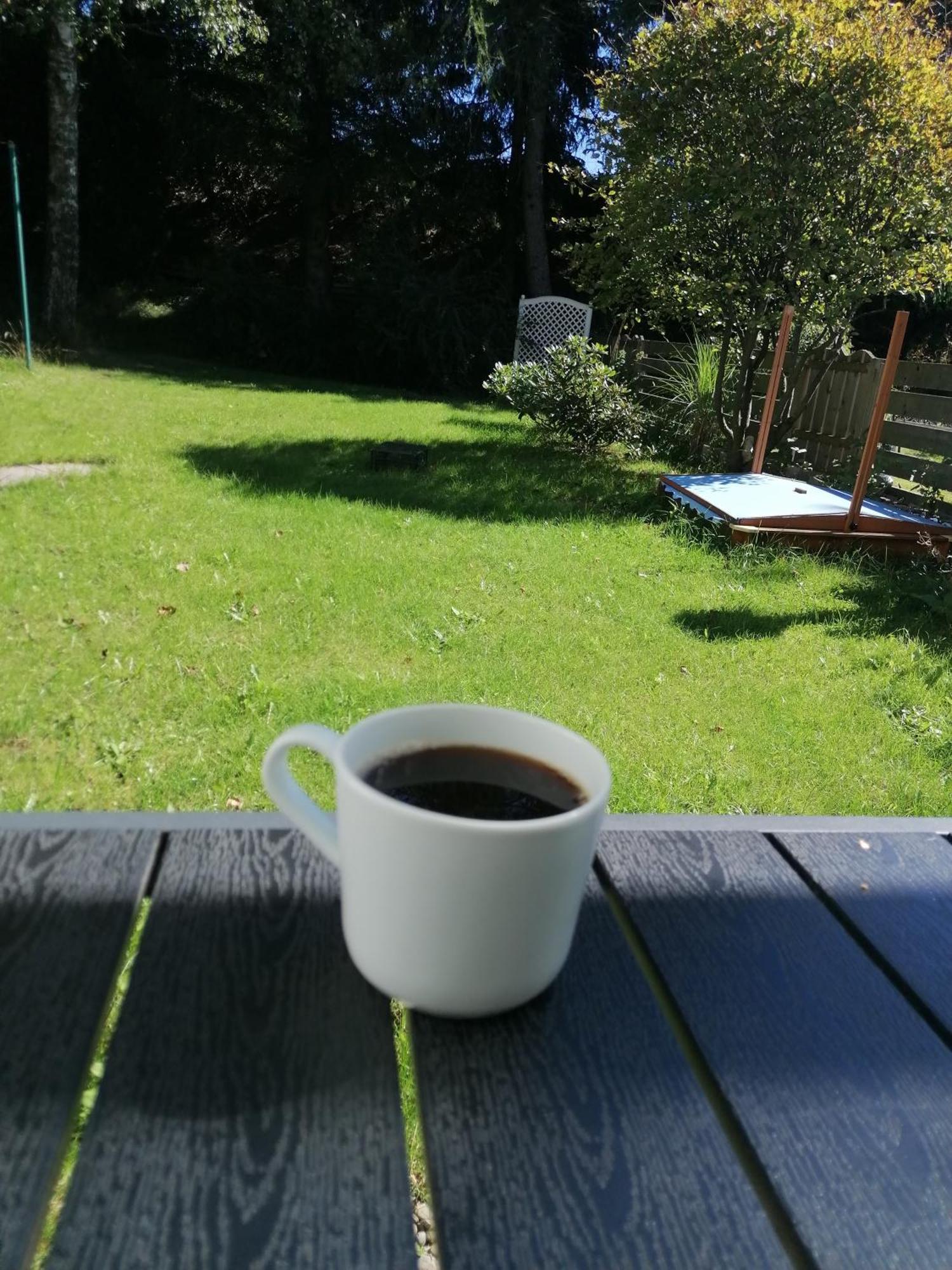 Ferienhaus Hoher Weg - Urlaub, Wandern, Downhill Und Workation Am Nationalpark Harz 상트안드레스베르크 외부 사진